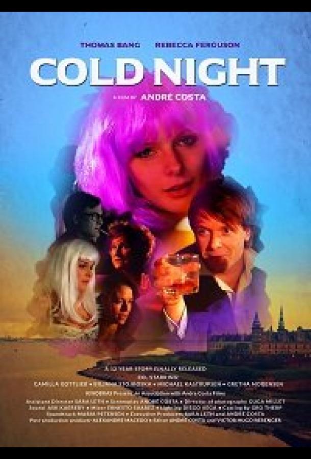 Холодная ночь (2019)