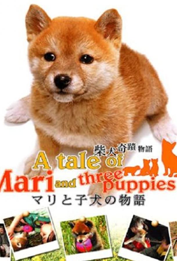 История Мари и трех щенков (2007)